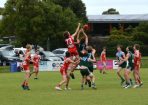 footy_330804_11.JPG