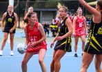 netball_326057_11.JPG