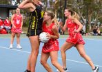 netball_326057_15.JPG