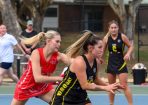 netball_326057_20.JPG