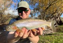 Whiting still on the chew