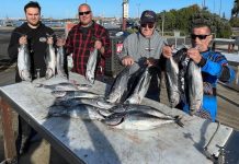 Pier proves good for pinkies