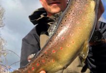 Anglers putting in the hard work