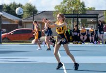 Netball action takes over St Albans Reserve