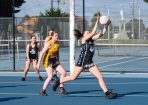 gflnetball_333173_02.JPG