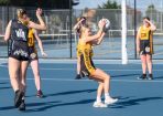 gflnetball_333173_04.JPG