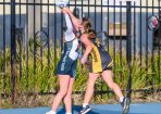 netball_336324_09.JPG