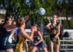 netball_336324_16.JPG