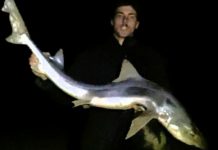 Anglers brave the weather in pursuit of fish