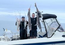 Bountiful fishing on offer this week