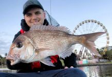 Fishos waste no time getting out