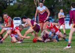 footy_339709_03.jpg