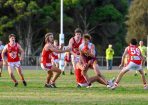 footy_339709_16.jpg