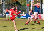 footy_342596_13.jpg