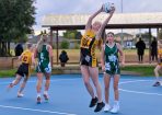 jnrnetball_342590_01.jpg