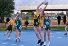 Giants, Grubbers, Tigers and Dragons do battle