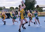 jnrnetball_342590_06.jpg