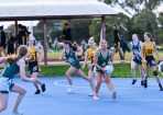 jnrnetball_342590_07.jpg