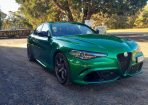 Alfa_344170_01.jpg