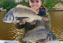 Welcome back to the snotty trevalla