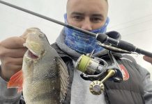 Garfish crank it up a gear