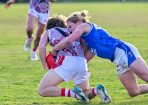 footy_345173_12.jpg