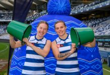 Five home games for Cats