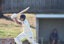 Two Blues nominated for big award