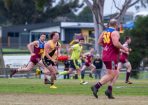 gdflfooty_347404_05.jpg