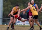 gdflfooty_347404_10.jpg