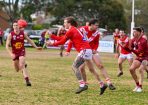 gdlfooty1_344161_17.jpg