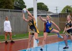 netball_347403_03.jpg