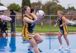 netball_347403_10.jpg