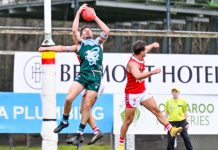 Ammos hang on in thriller