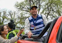 Ruthless Cats in Bomber blitz