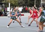 151netball_356191_15.jpg