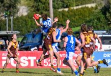 Heads hang on in finals classic