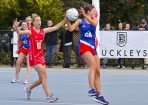 anetball_353660_03.jpg