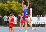 anetball_353660_07.jpg