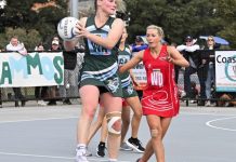 Powerhouses go head to head in finals