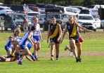 footy_354484_02.jpg