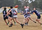 gflfooty_353166_08.jpg