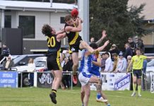 Tigers through to decider