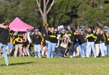 Tigers tame plucky Hawks