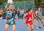 anetball_358220_03.jpg