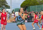 anetball_358220_06.jpg