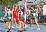 anetball_358220_08.jpg