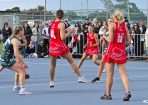 anetball_358220_14.jpg