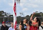 anetball_358220_20.jpg