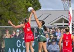 anetball_358220_28.jpg